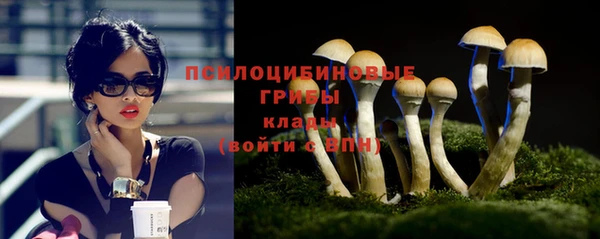круглые Алексеевка