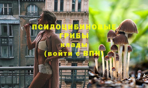 круглые Алексеевка