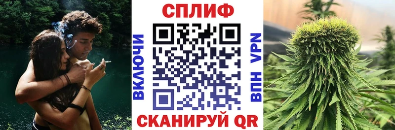 Бошки марихуана Amnesia Мензелинск